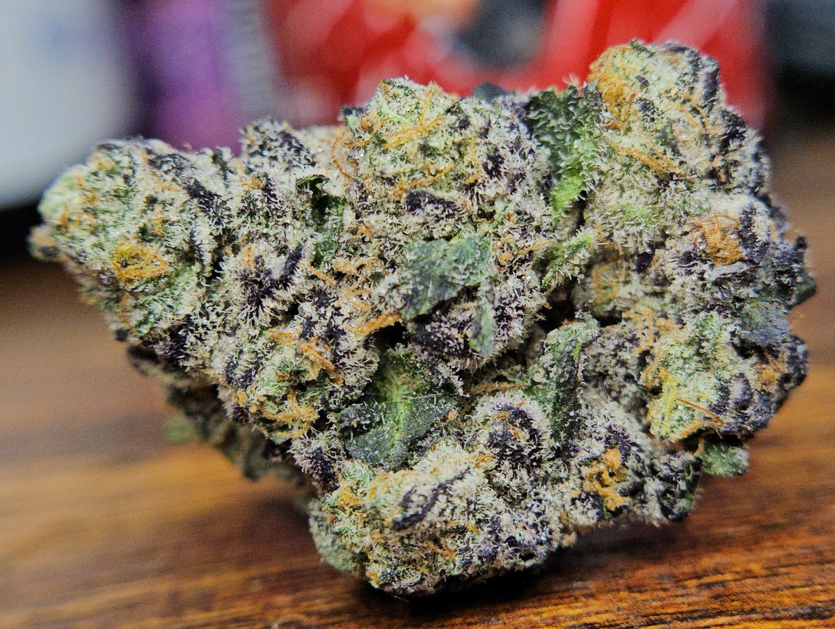 Haze4dayz tweet media