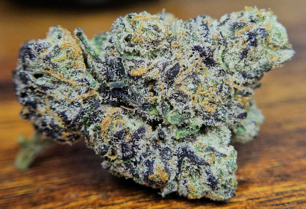 Haze4dayz tweet media