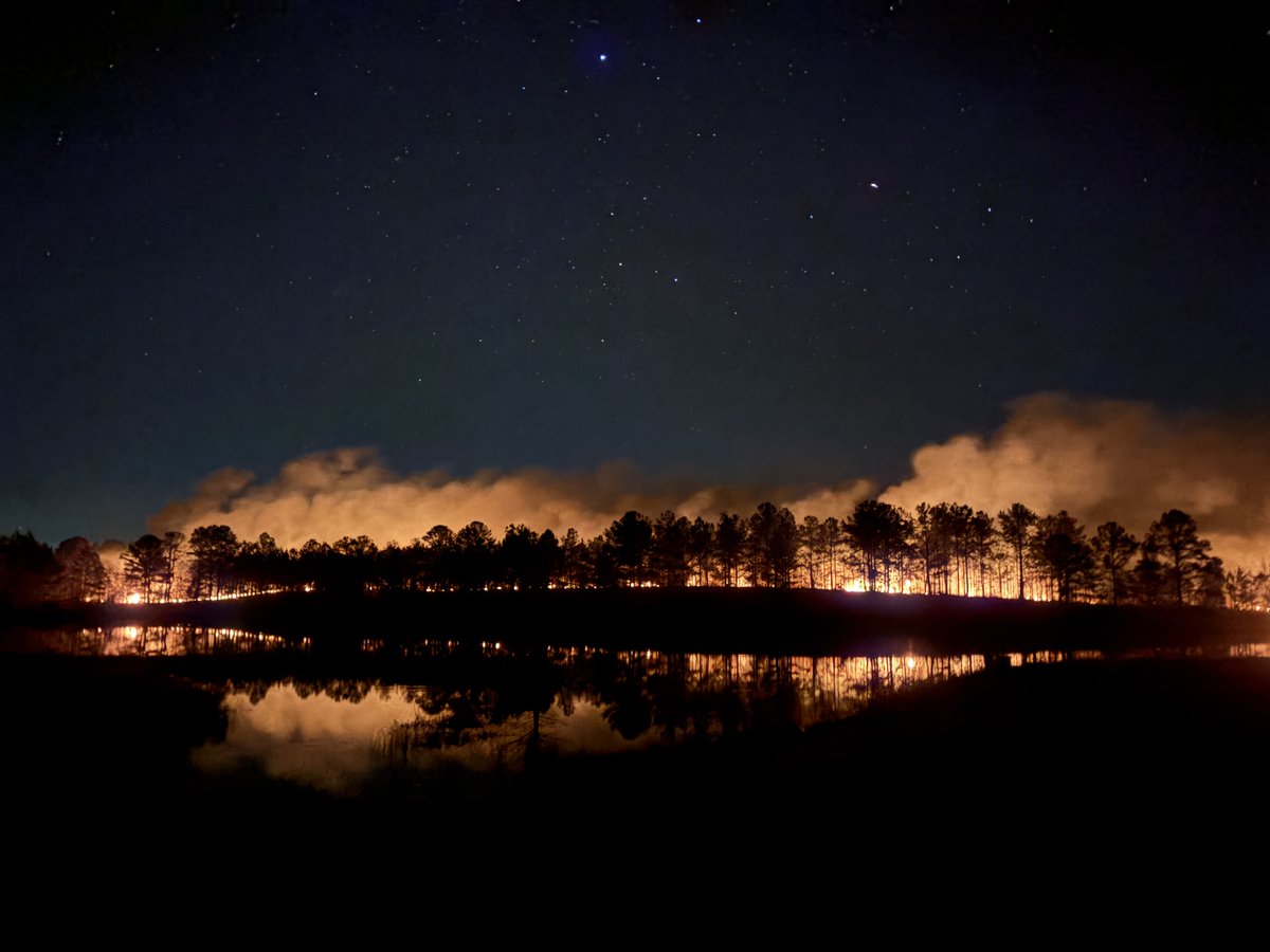 Bert Crosson tweet media