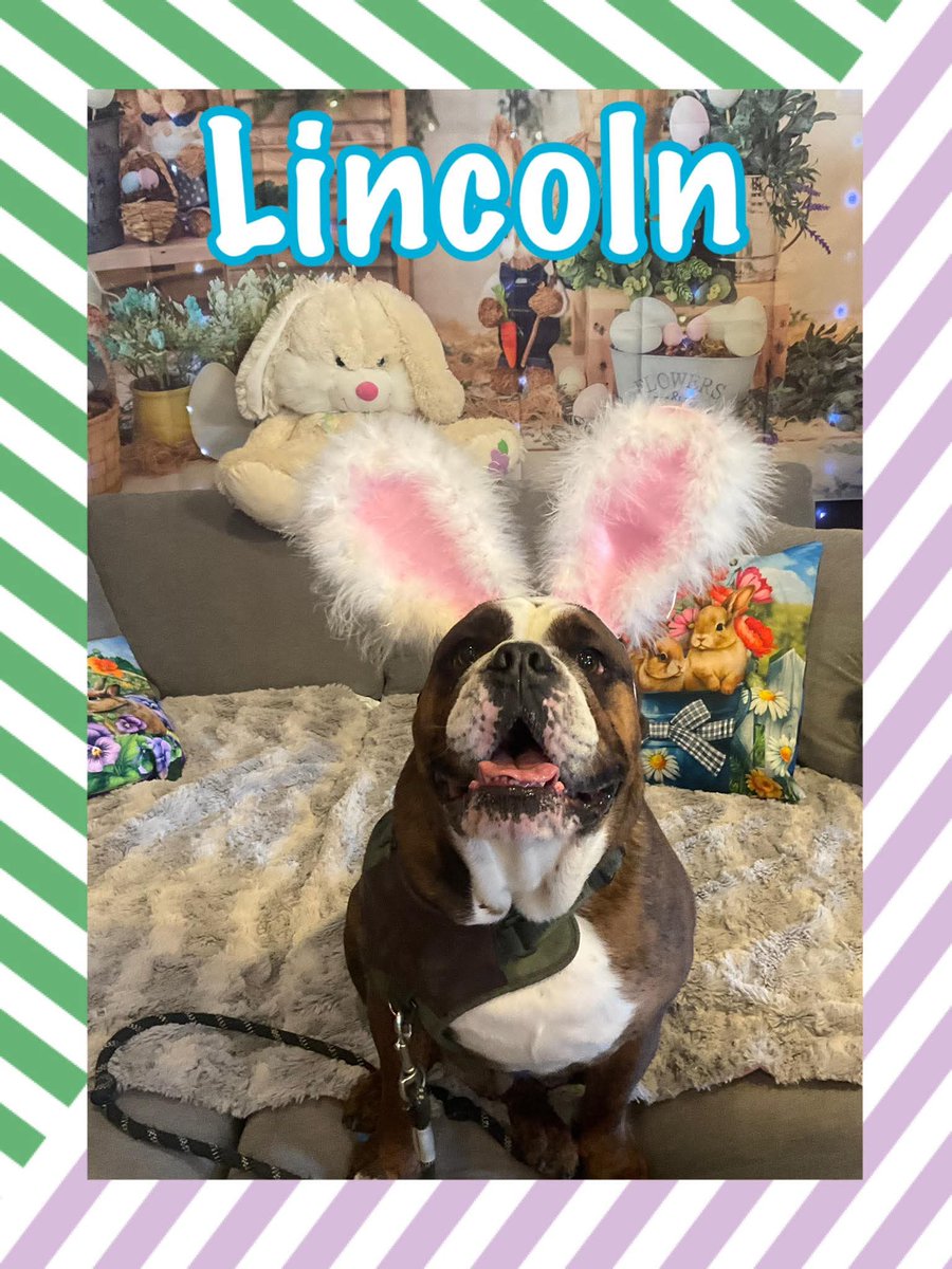 #TheLastDriveIn
#MutantFam 
<a href="/therealjoebob/">Joe Bob Briggs</a> 
<a href="/kinky_horror/">Diana “Darcy the Mail Ghoul” Prince 🎃💌</a> 
This year has been a little rough. January...broke up with gf. February...roof leak, now have to have a mew roof put on and inside the home repairs done. Now...The Last Drive In is coming to an end. Thankful to my dog.