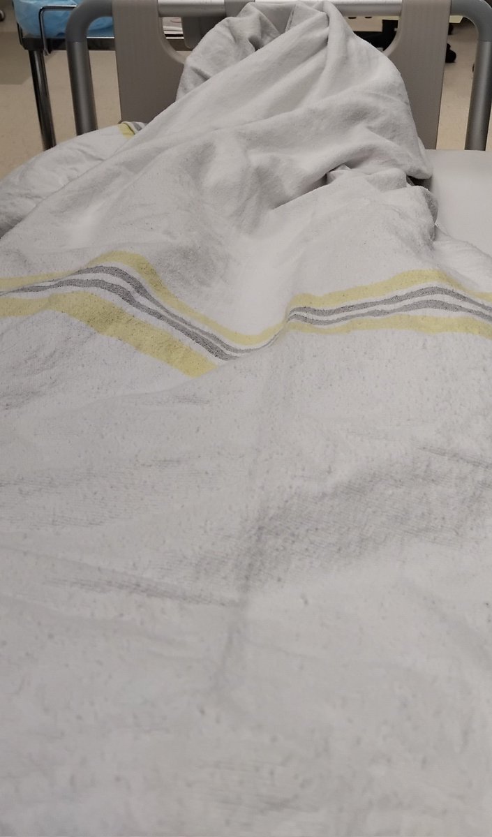 TicdOff🔆 tweet media