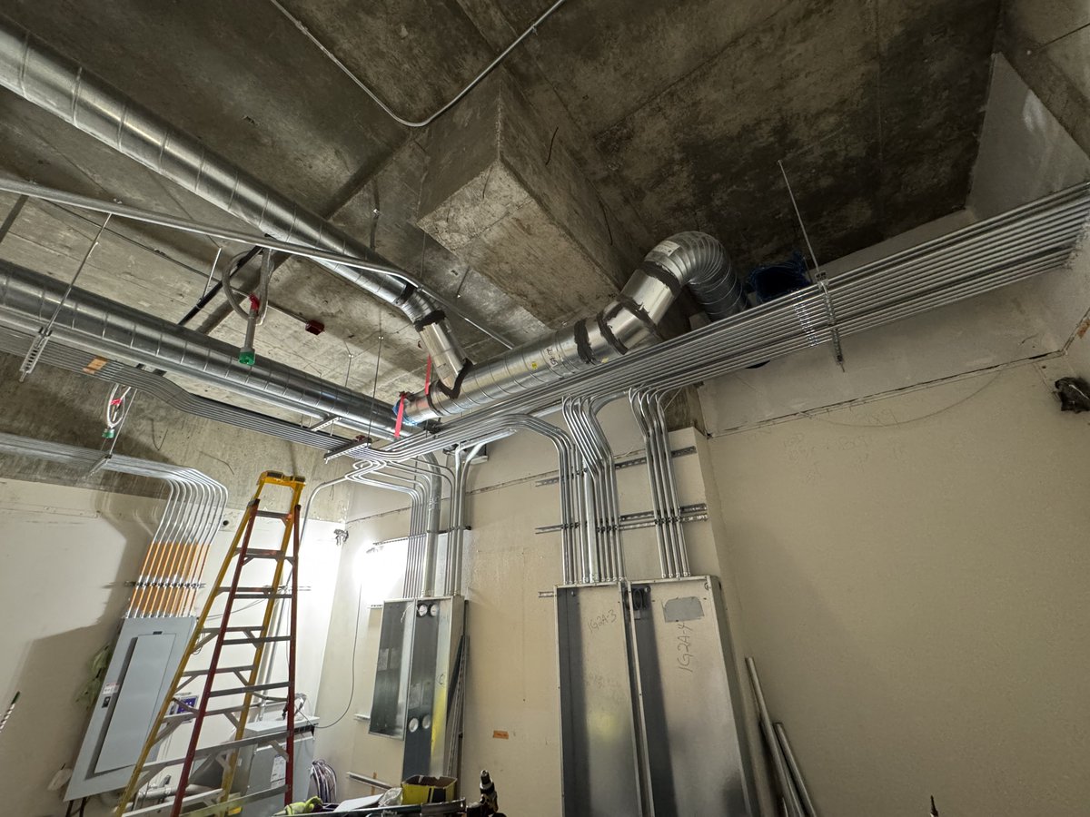 𓆝 𓆟 𓆞 tweet media