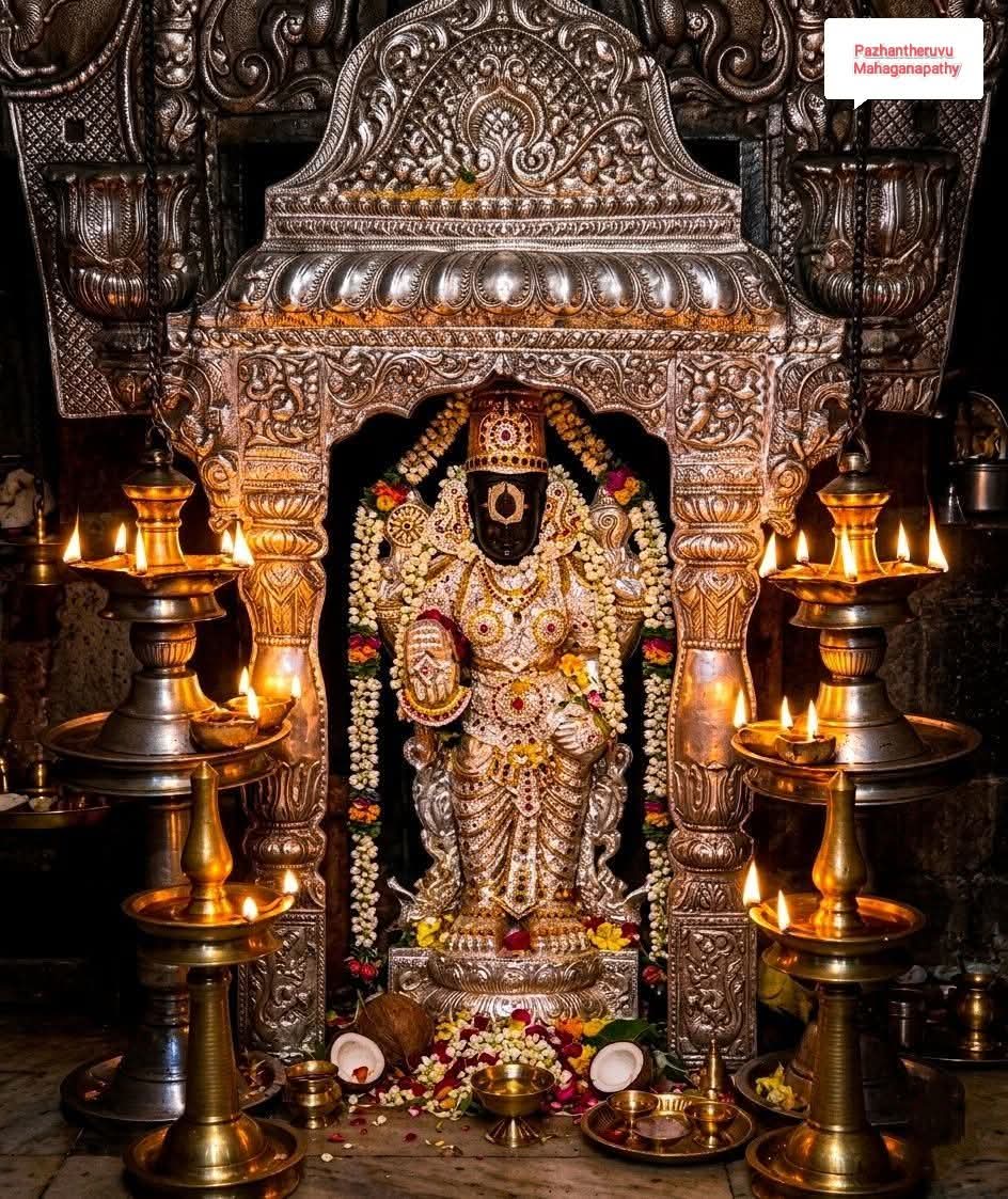 Tirunallar Shani Bhagwan 

According to Vakya Panchangam, Shani Periyarchi ( transition of Shani from Kumbha to Meena rasi ) happened yesterday.