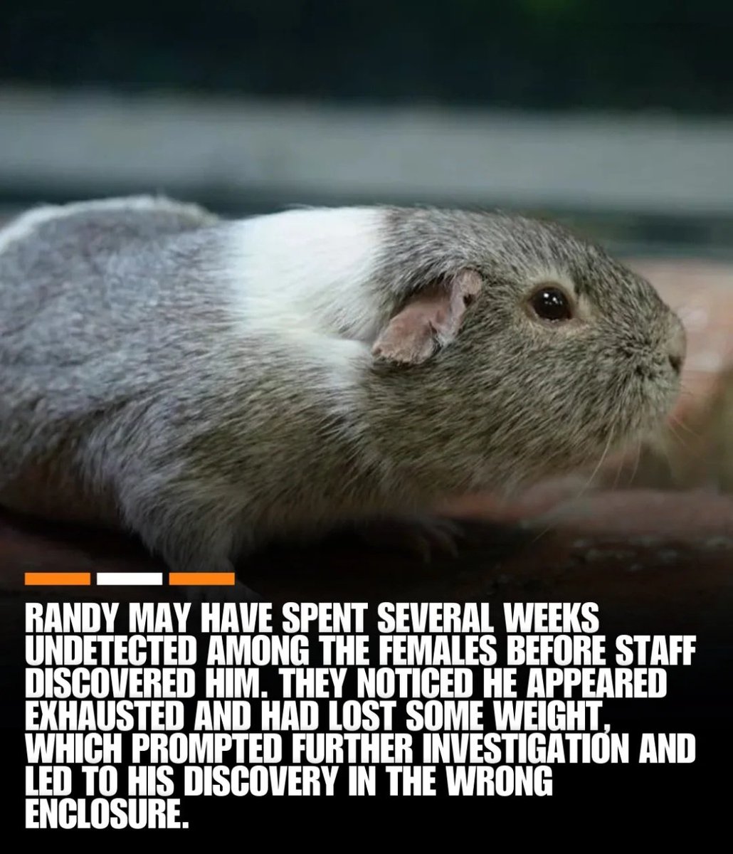 Bill Harman tweet media