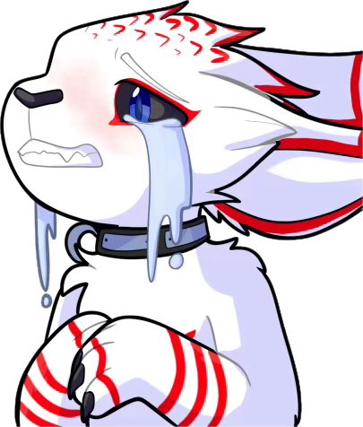 Fawxy Ventures tweet media