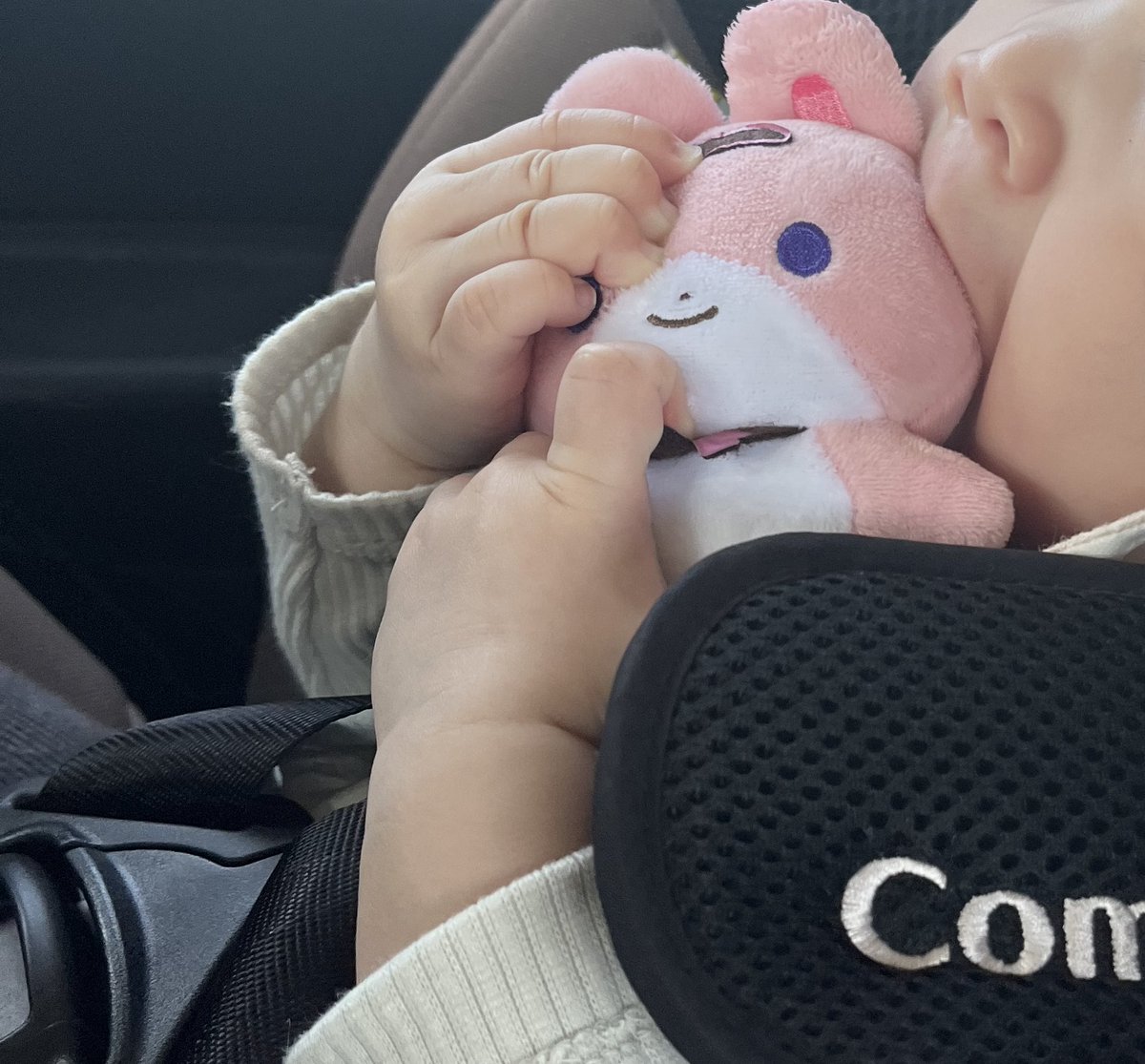 あまない tweet media