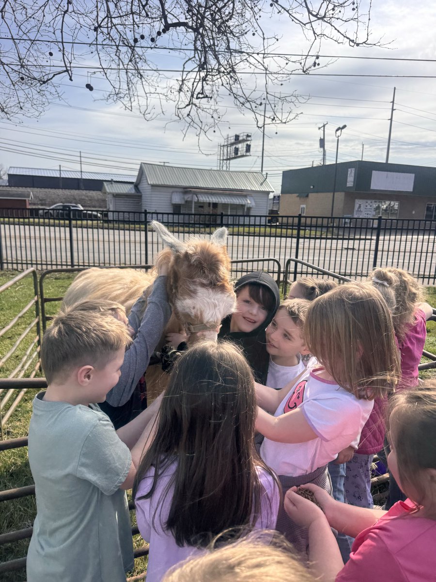 MsKimberlyFitch's tweet photo. Is your mama a llama? @CburgNews ended Read Across America Week with Caramel, the llama. #ReadAcrossAmericaWeek https://t.co/5nxwVFczEN