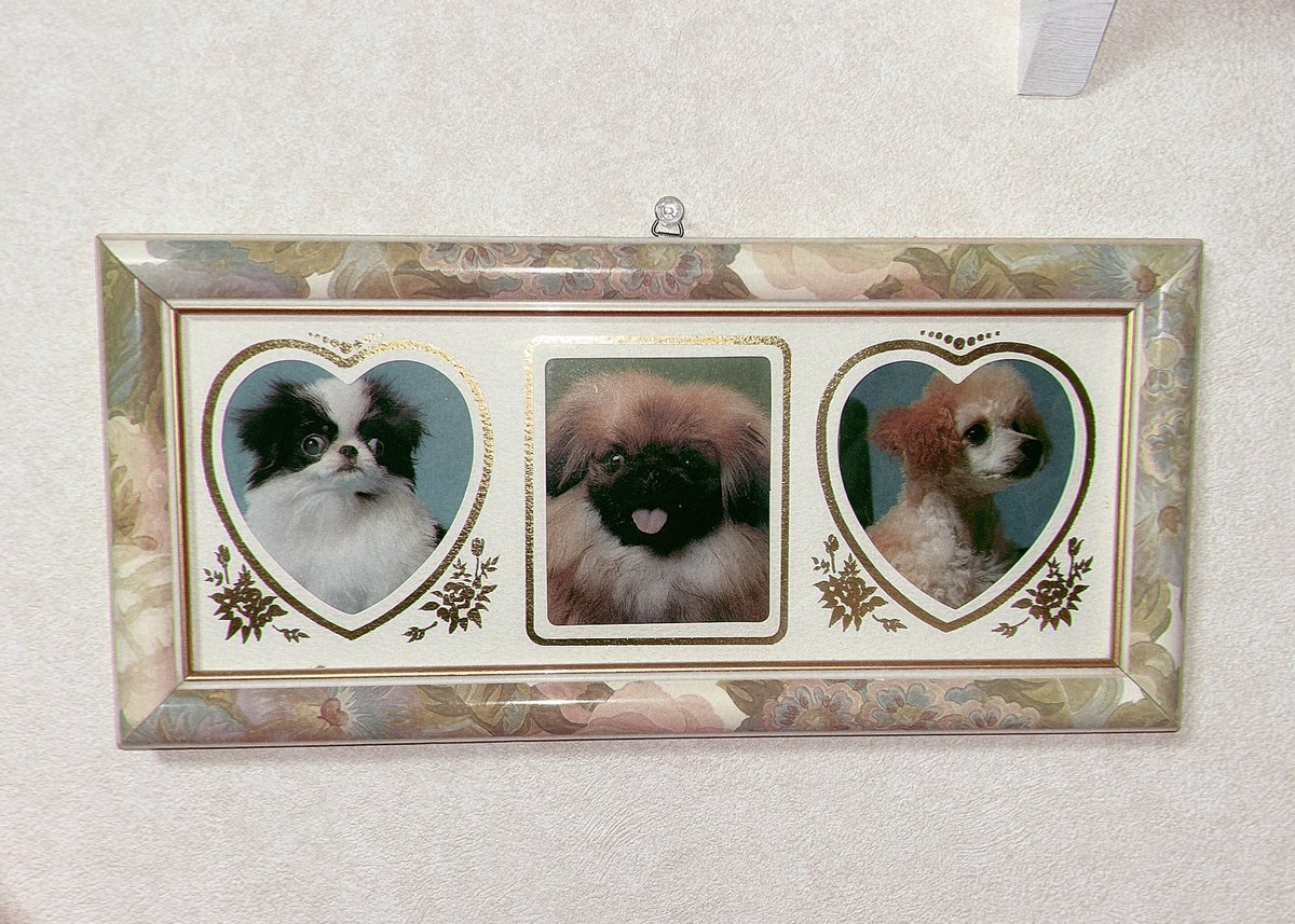 ポストカードを額装した~可愛い~🎶🎶