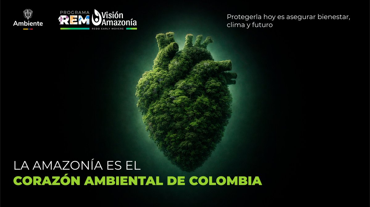 REM Colombia - Visión Amazonía tweet media