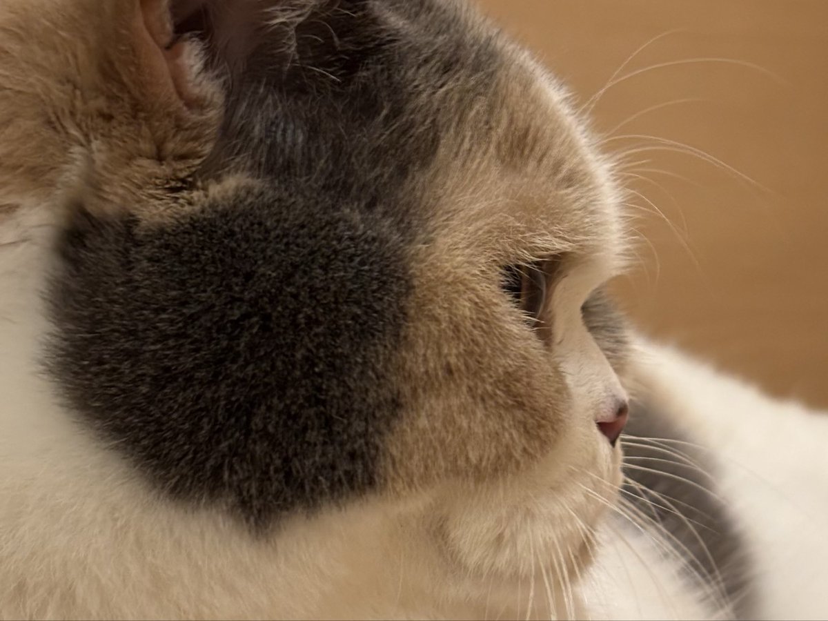 uuu-suke tweet media