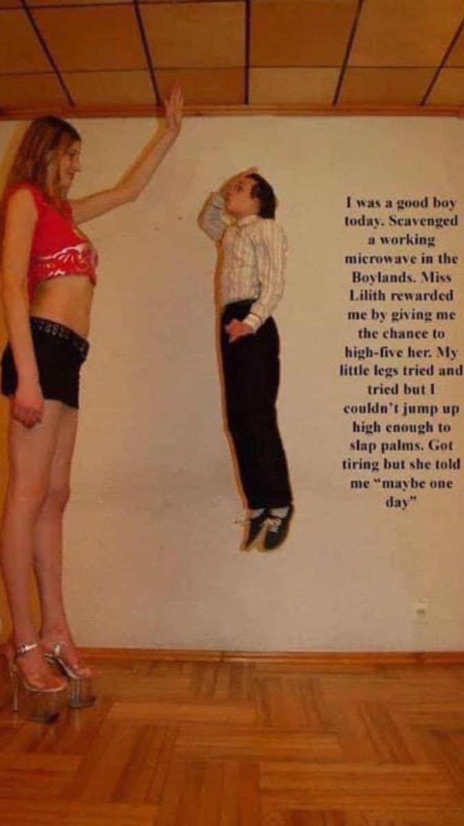 Evie ¯\_(ツ)_/¯ tweet media