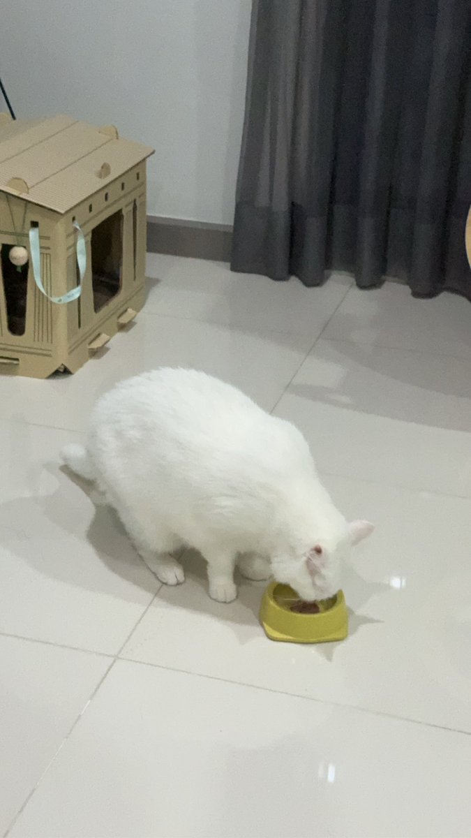 PAFUN พาฝัน tweet media
