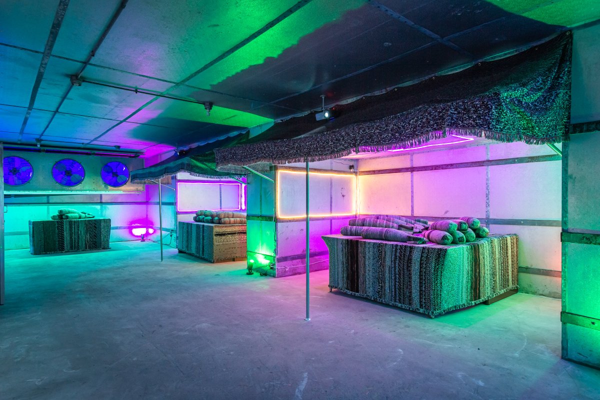 Phillip D Stearns tweet media