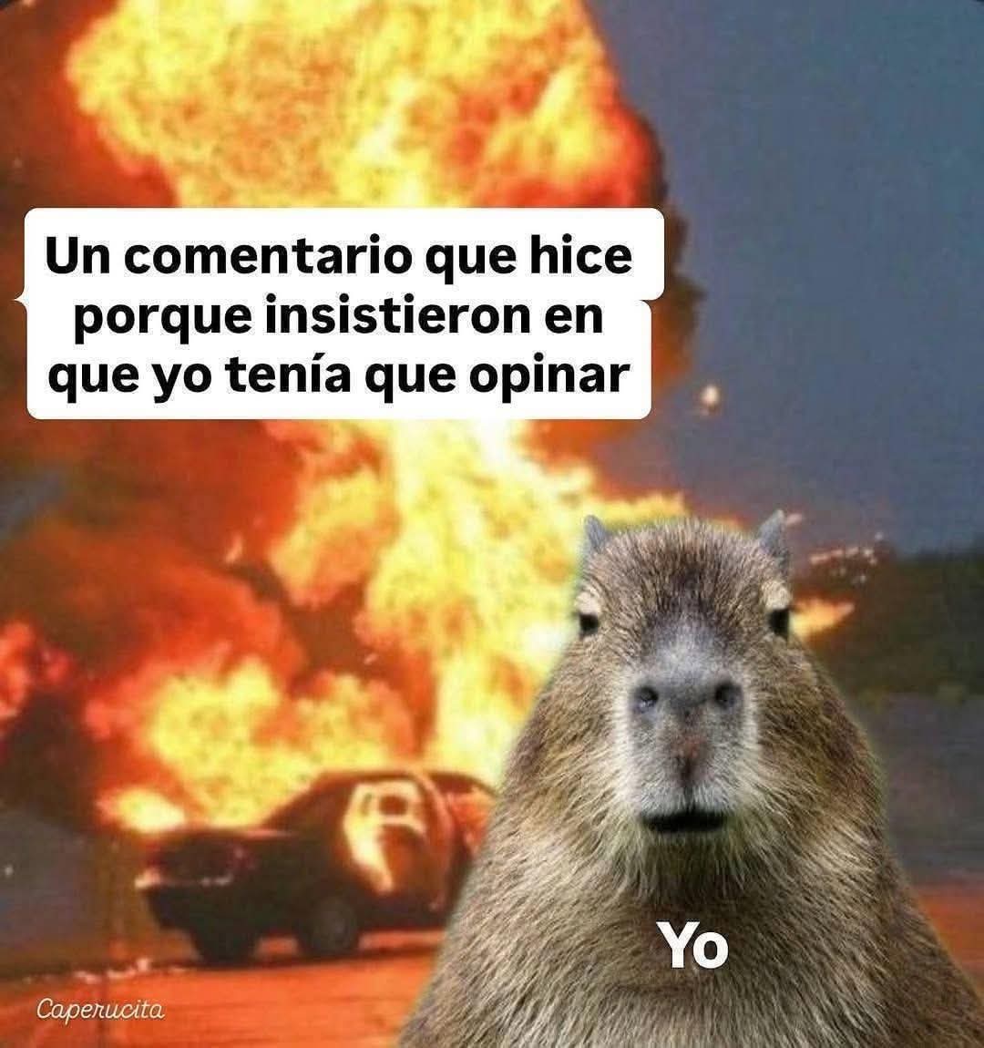 Animalitos en aprietos. tweet media