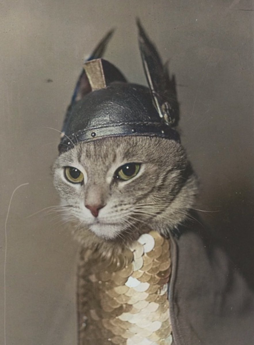 Meet me at the beach tweet media