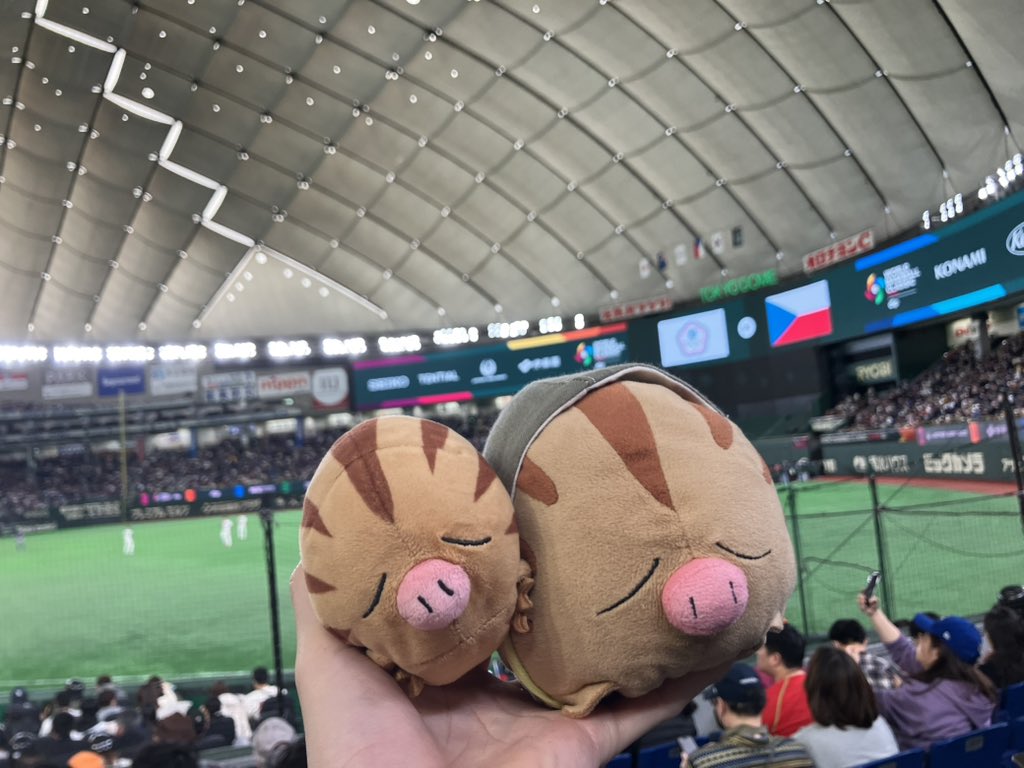 チェコ野球好きのウリムー tweet media