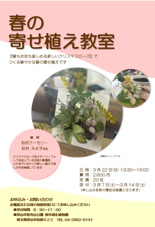 本日より「春の寄せ植え教室」の申込受付が始まりました。
葉もお花も楽しめるカラーリーフのクリスマスローズを使った華やかな寄せ植えを、講師に松村みよ子先生を迎えて作ります。
受付は14日までとなります。
#智光山公園 #都市緑化植物園
#狭山市 #寄せ植え教室
#クリスマスローズ
#松村ナーセリー