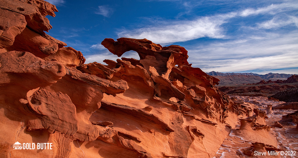 Friends of Gold Butte tweet media
