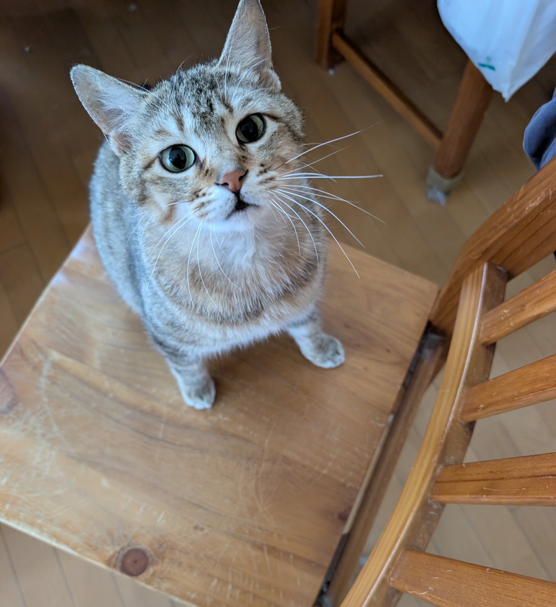 水牛・sui (@suigyu703) / Posts / X