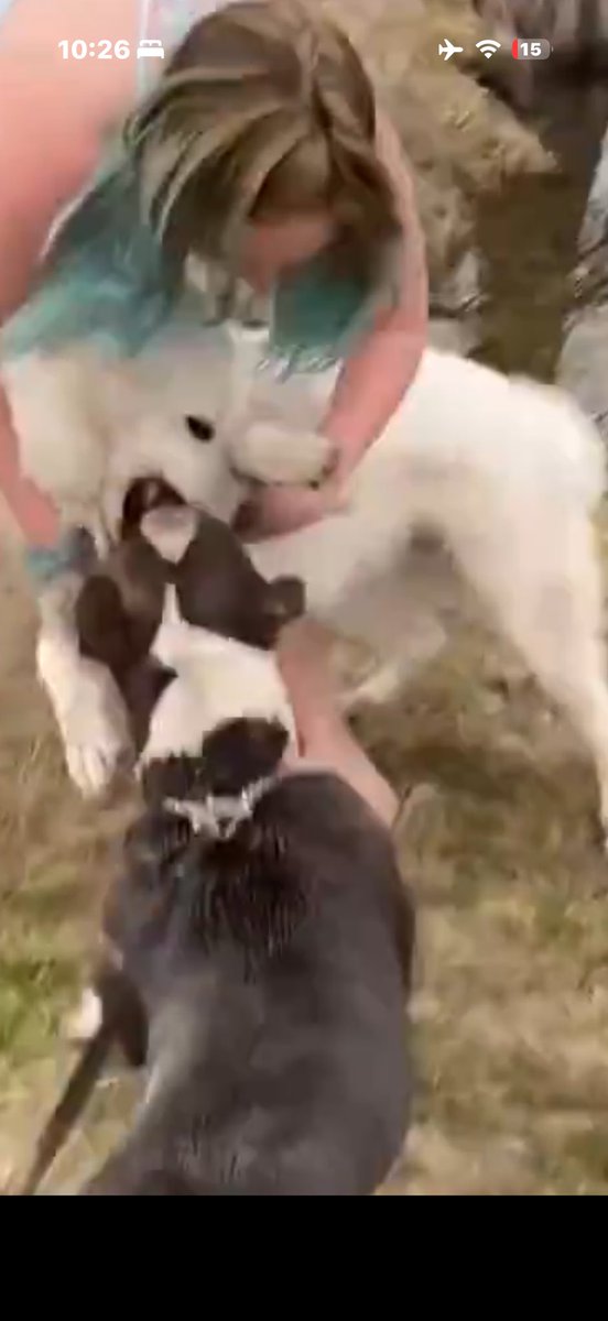 The Darkpulse Files  𝕏 tweet media