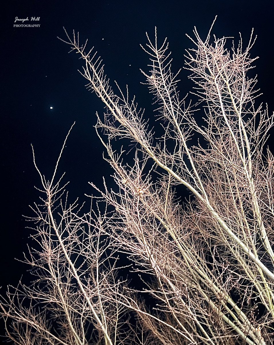 JosephHill3794's tweet image. Winter Night❄️🌌
Photo By: Joseph Hill🙂📸

#winter #winternight #night #nightsky #sky #stars #tree #nature #beautiful #peaceful #nighttime #wintertime #wintervibes #winterphotography #NightPhotography #SouthernPinesNC #March