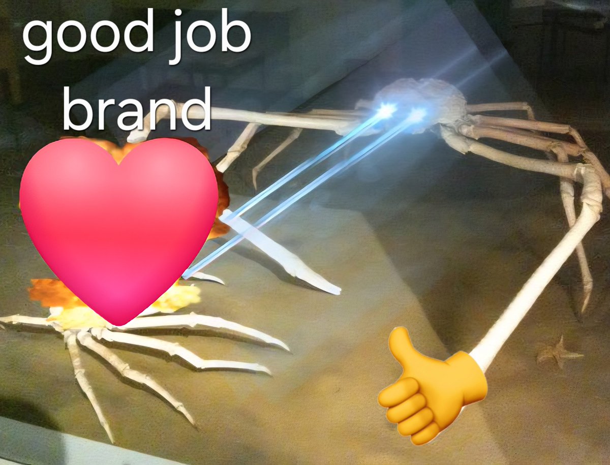 EddBean_'s tweet photo. @bad_dragon @cultofthelamb Please let this happen 🙏 https://t.co/pgSFuKNpRG