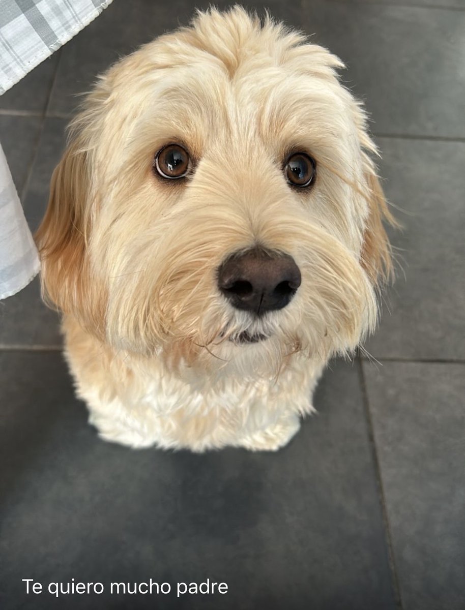 Samuel Martínez tweet media