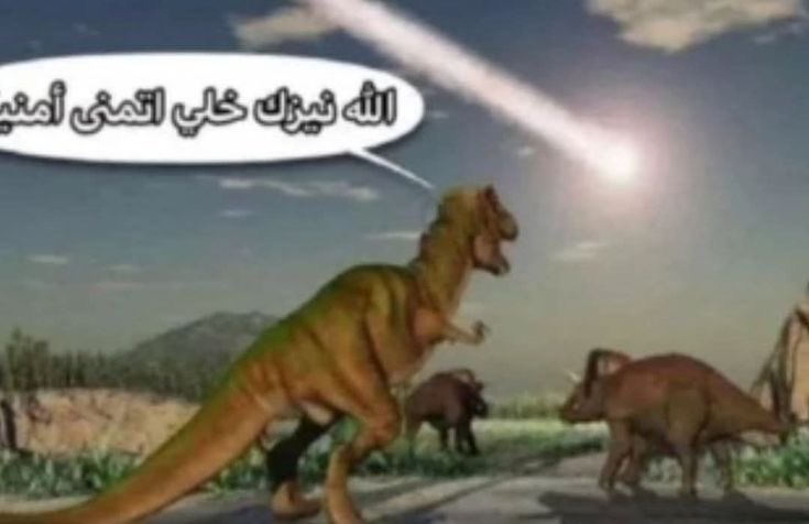 جوديث ~ (@evankhill) on Twitter photo 