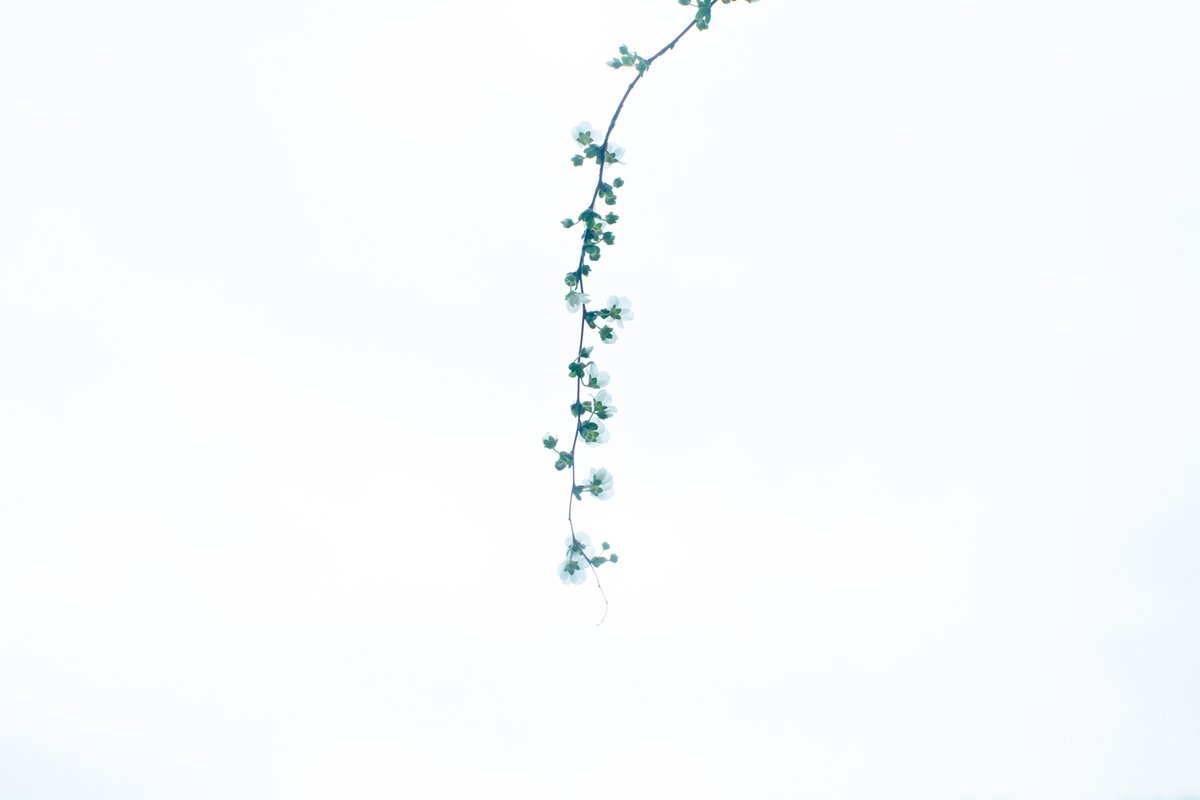 Kouji Tomihisa tweet media