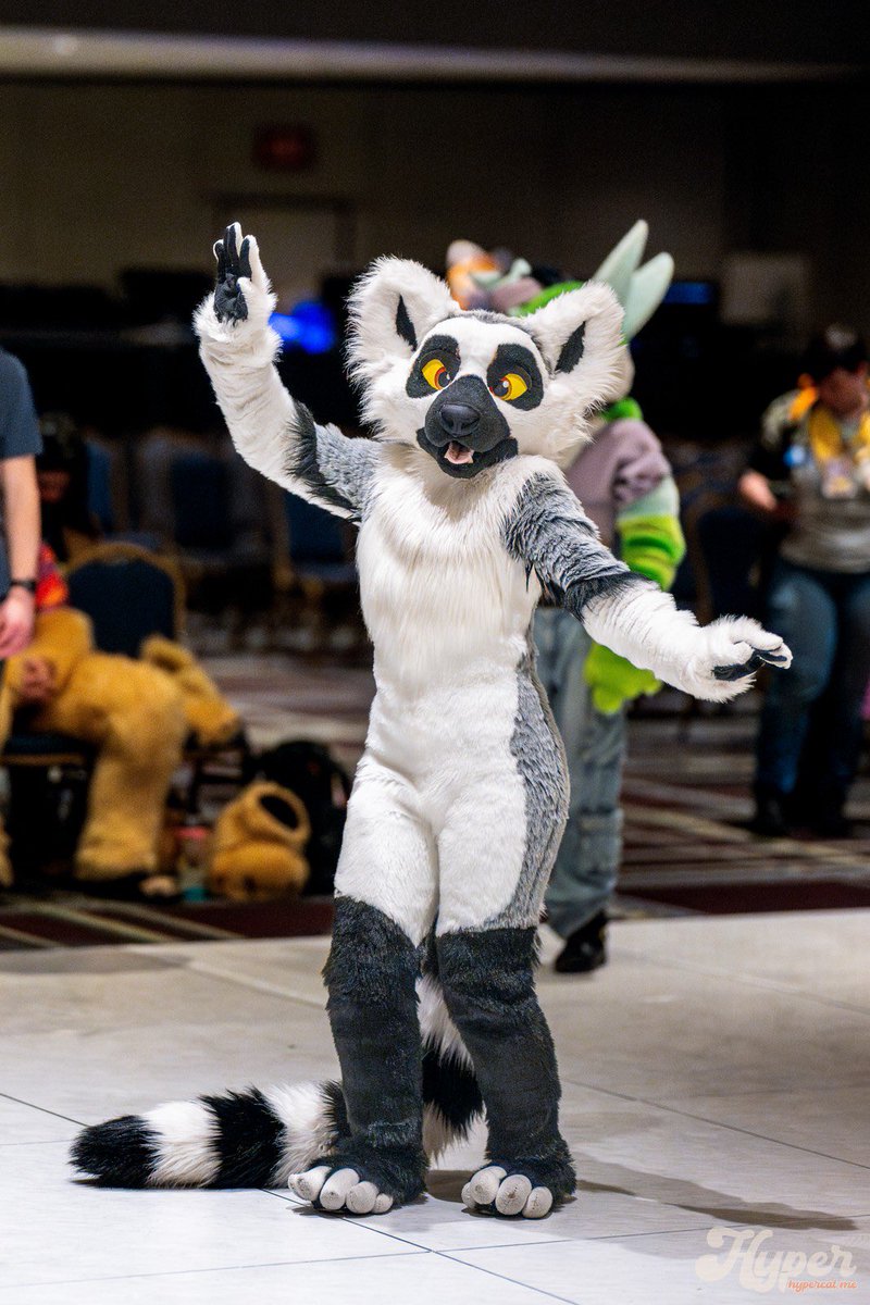 I like 2 move it move it

📸:
hypercat.me