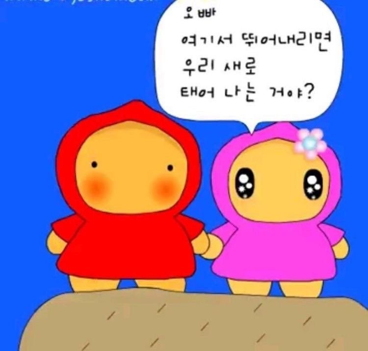 matchoking1's tweet photo. 폰을 바꿔서 좋아하는 짤들이 다 날아감
저한테 좋아하는 짤 나눠주실 분들 구합니다
귀여운짤. 도 괜찮고 웃긴짤을 ㅈㄴ좋아해요 https://t.co/ovA6mOzObc