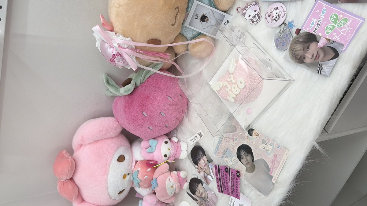 빌려온 펑냥이 (•- •マ⟆ tweet media