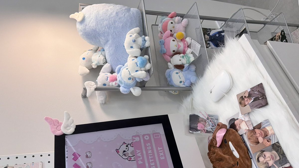 빌려온 펑냥이 (•- •マ⟆ tweet media