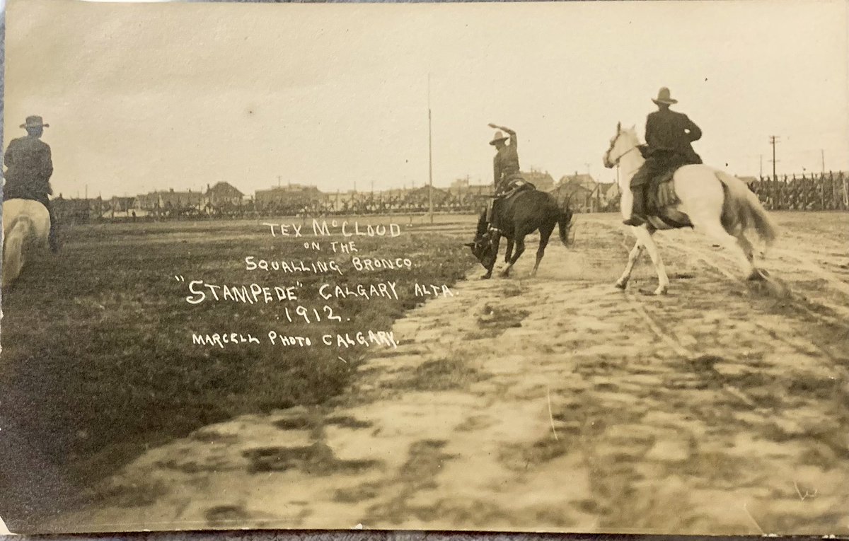 Some #postcards are just postcards, others are iconic. Amazing card depicting the first <a href="/calgarystampede/">Calgary Stampede</a> with Tex McCloud riding a bronco. Great stuff!