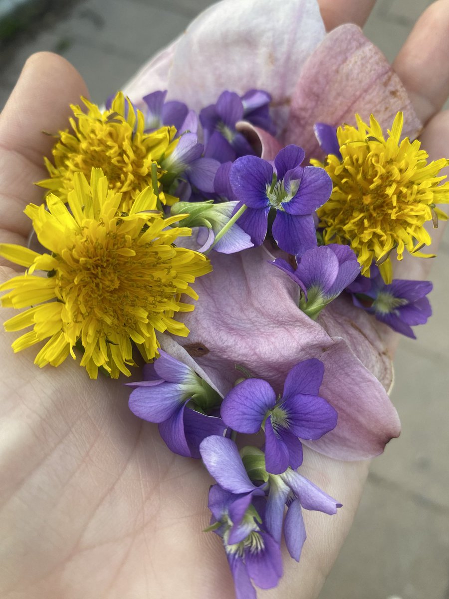 Lilien tweet media