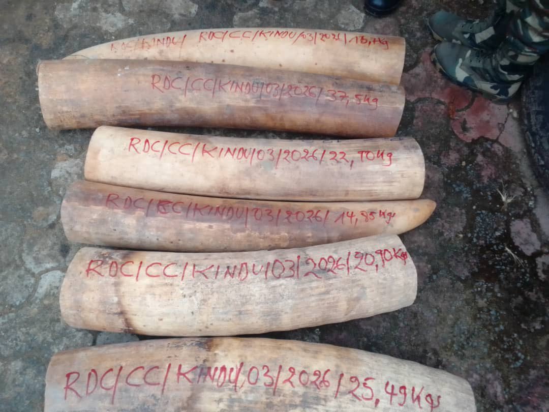 Adams Cassinga tweet media