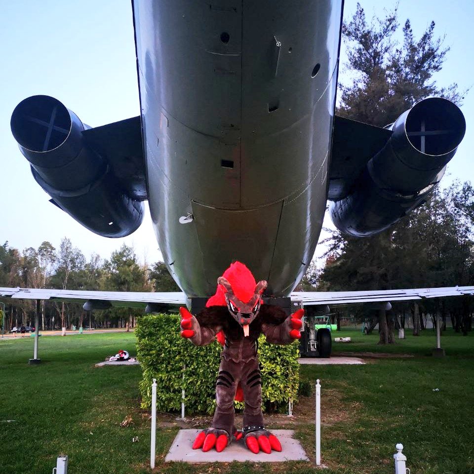 Razzyk 🇲🇽 (Cms open) tweet media