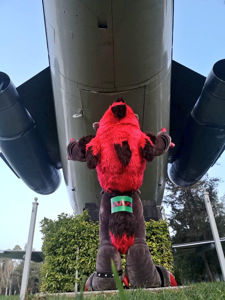 Razzyk 🇲🇽 (Cms open) tweet media