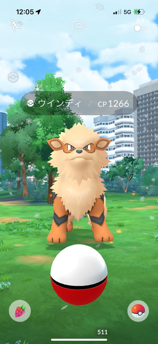 ここぺりGO tweet media