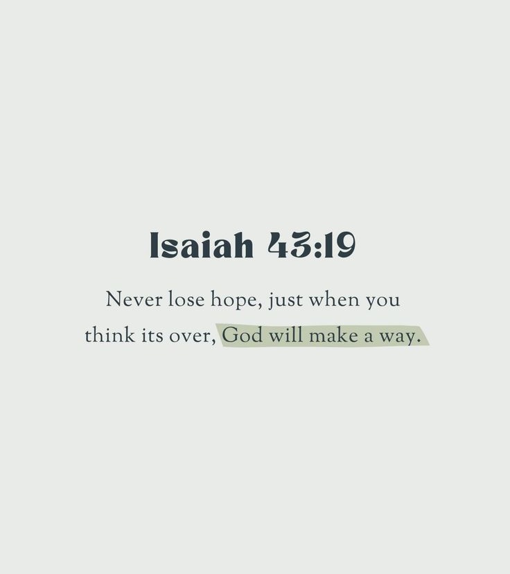 The Bible tweet media