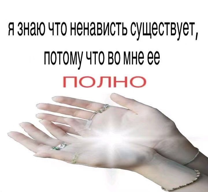 маргарррита (@chatte_mrr) on Twitter photo 