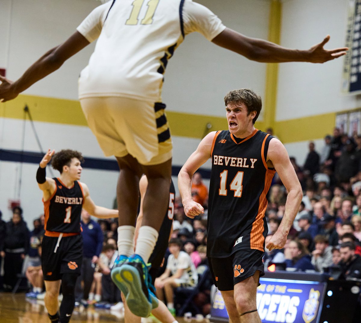 Phil Stacey tweet media