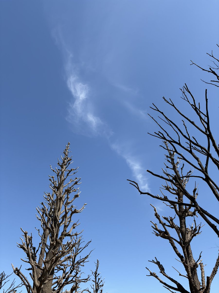 お天気が良いです☀️
上野も沢山の人！

＃都民音楽フェスティバル
これからオーケストラピット！🩰💡

お天気は良いです☀️
お天気は良いです☀️

音を奏でる歓びを噛みしめて♫

皆さまに沢山の笑顔が届きますように✨

＃都民音楽フェスティバル
＃日本バレエ協会
＃ラ・エスメラルダ
＃東京文化会館