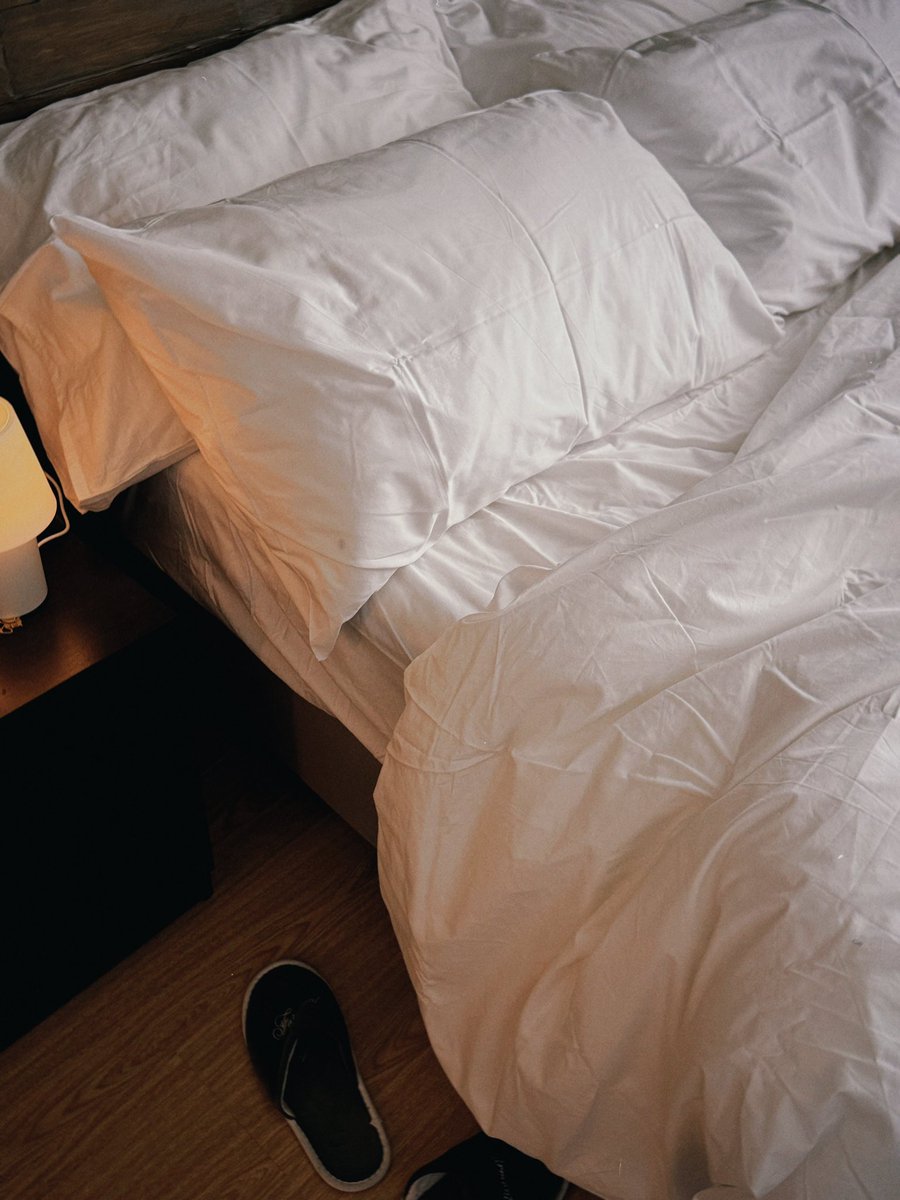 Tito 🐻 tweet media