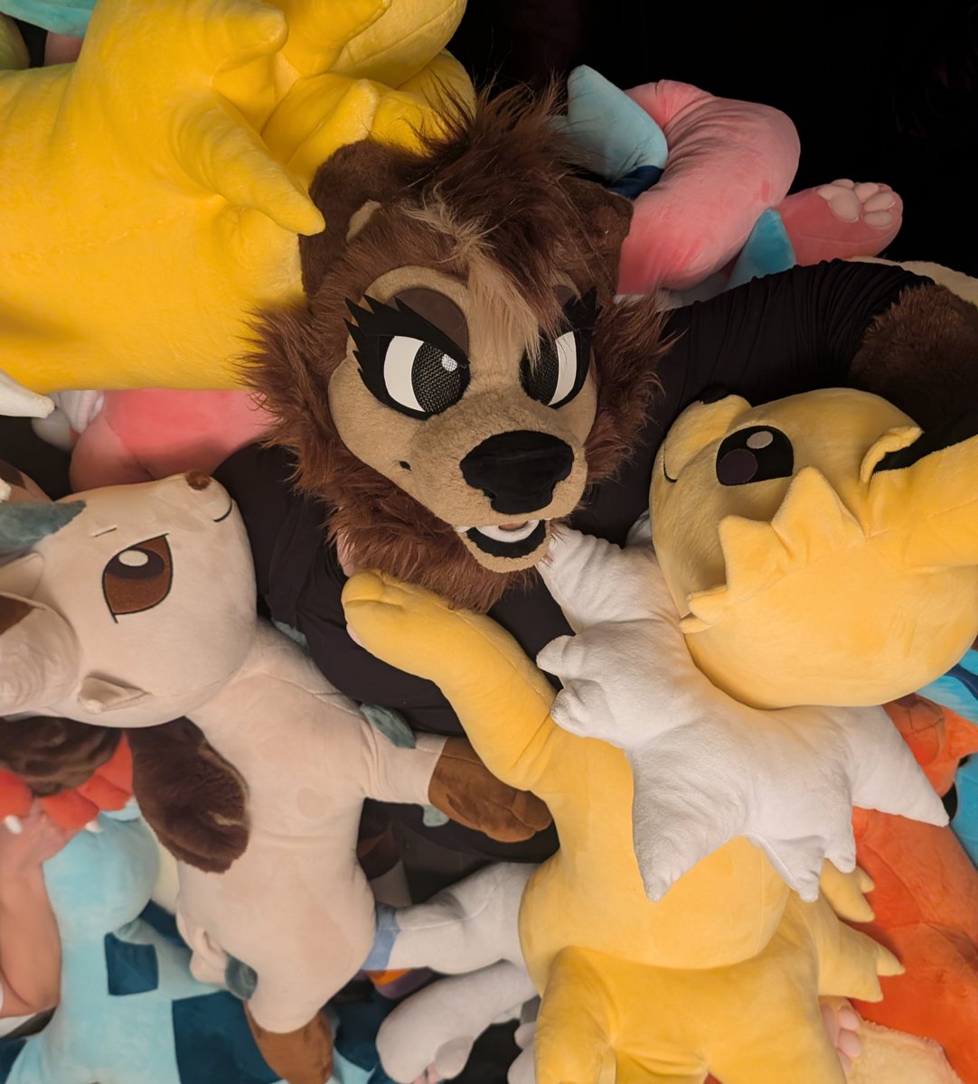 Maple/Bailey tweet media