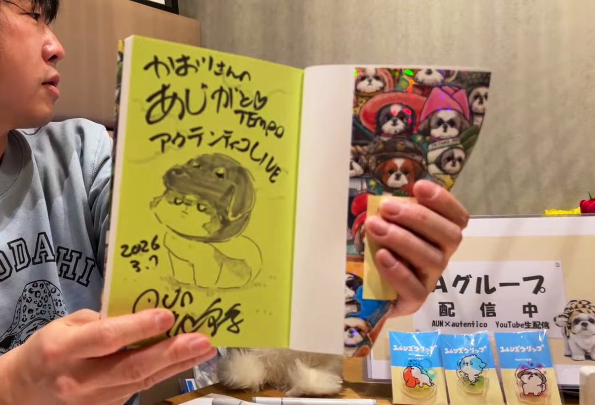 【怒涛の6時間LIVE‼️】お洒落イタリアンレストラン🍷を貸し切り、お客様と予約制イベント開催中なう🐶コメントしてね💬

【シーズーてんぽ】AUNだんな6時間公開生ライブ in アウテンティコ(東京蒲田) 

👉youtube.com/live/e7mNmewjl… <a href="/YouTube/">YouTube</a>より

#シーズー #犬 #あうんのてんぽ