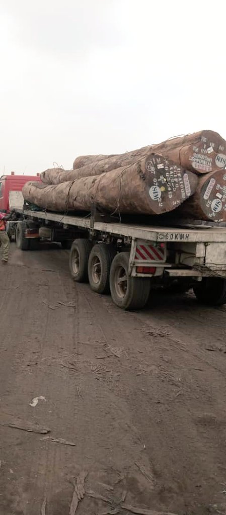 A forest that took centuries to build, destroyed in days. For profit. This isn't development. It's the liquidation of our planet's natural capital. #Ecocide #Deforestation