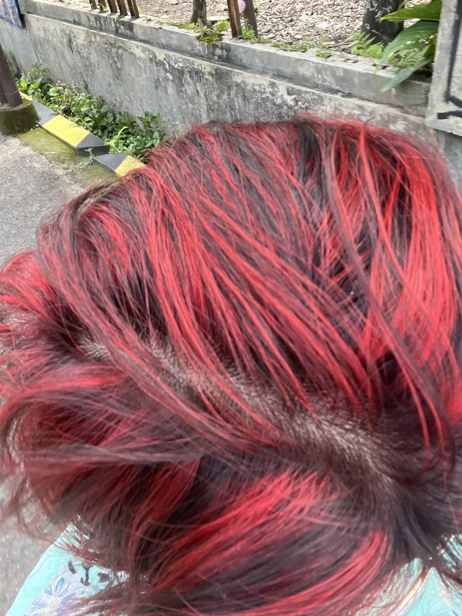 Kiku.Co Studio🐯 | COMMS OPEN tweet media