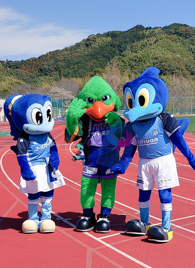 ぶっきー@٩(●´ϖ`●) tweet media