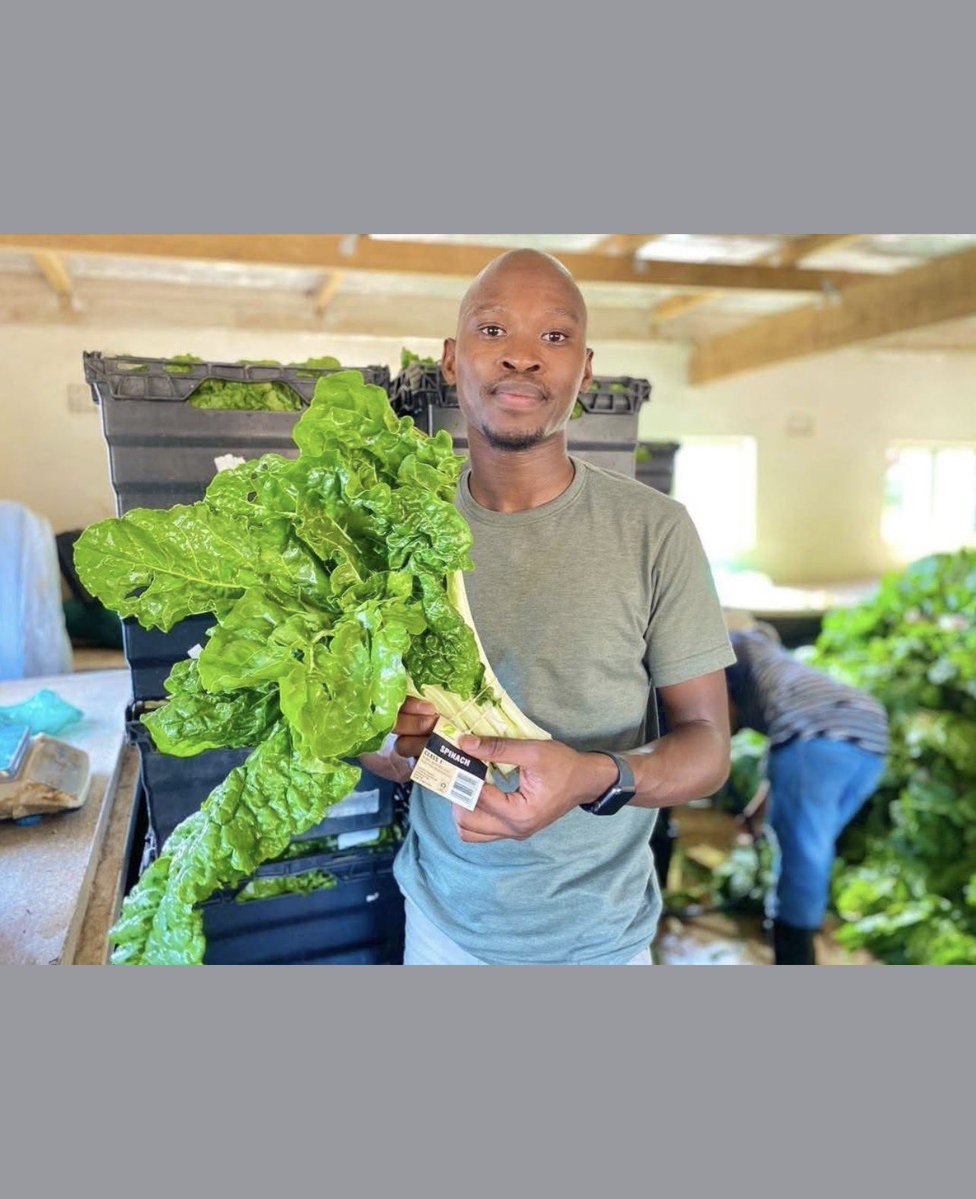 Katlego Maseng 🧠 tweet media